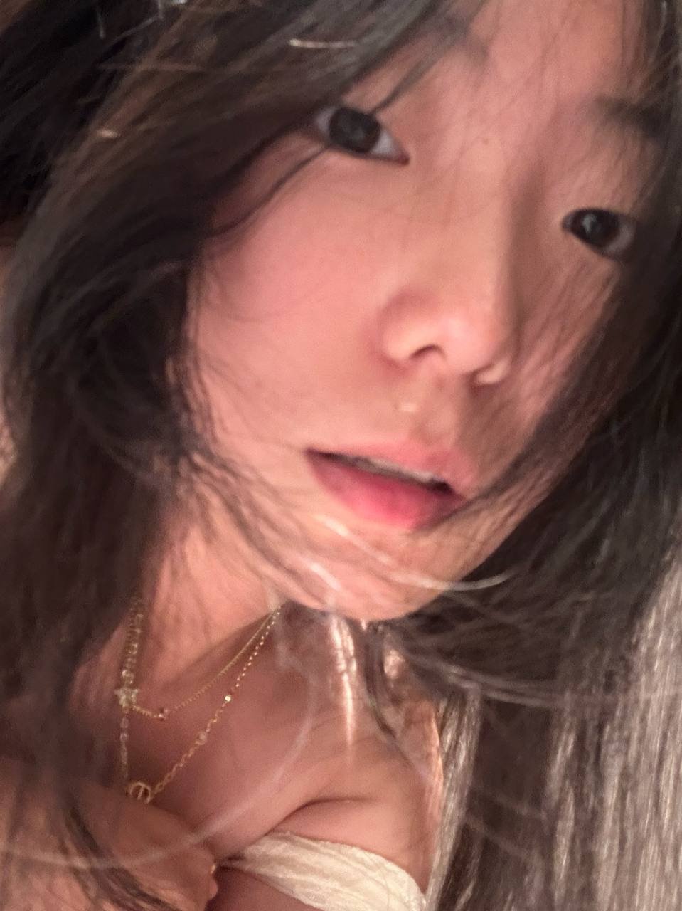 142445