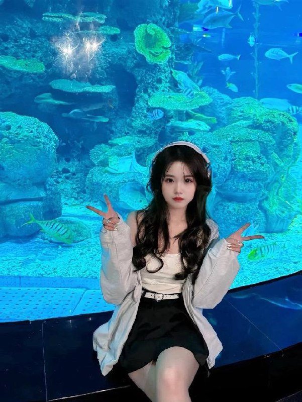 146729