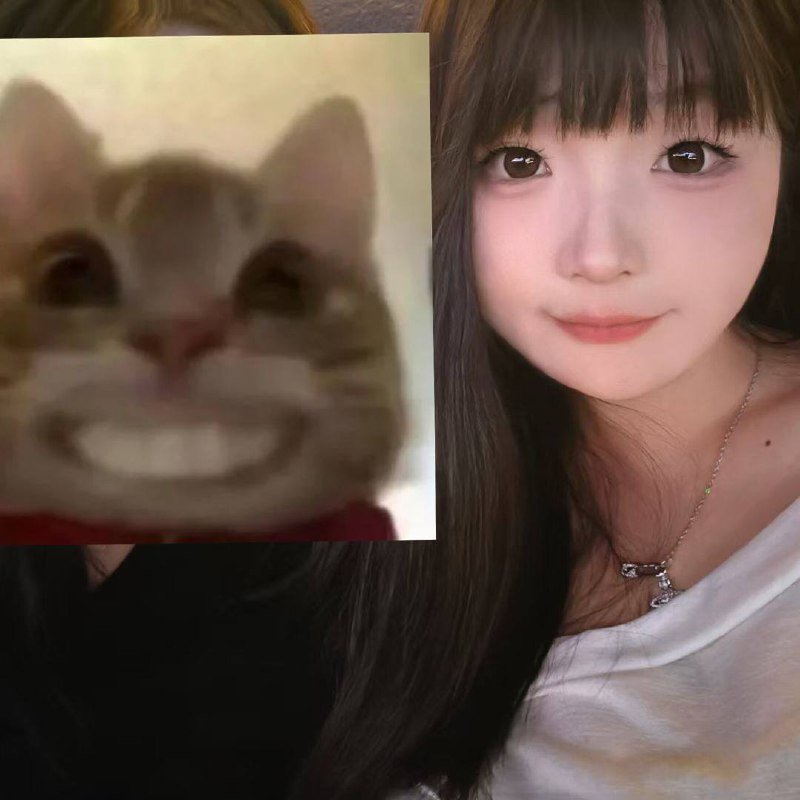 152038