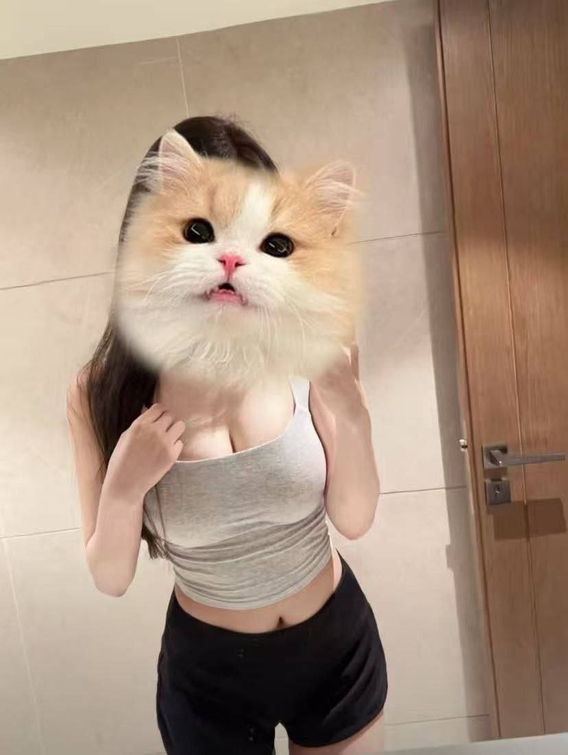 155942