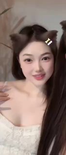 155982